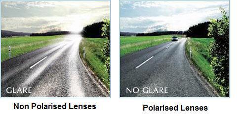 polarizer